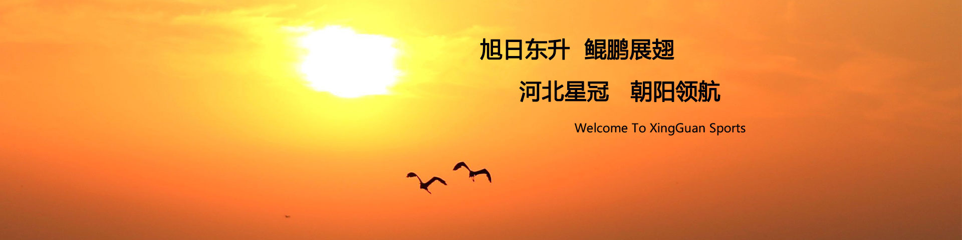 224斯诺克新赛季赛程表